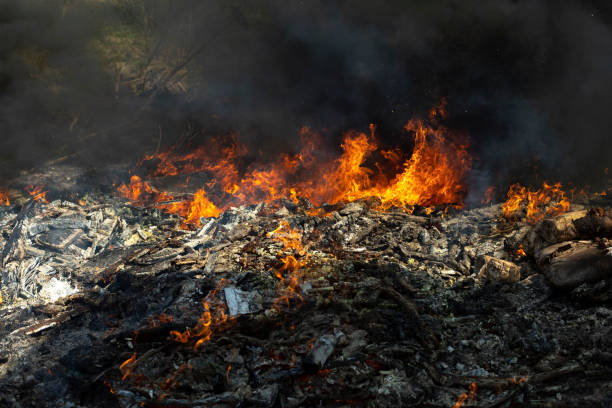 istock Fire in landfill. Fire and smoke. Burning garbage. 1398552291