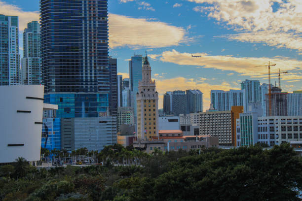 Miami City with Freedom Tower