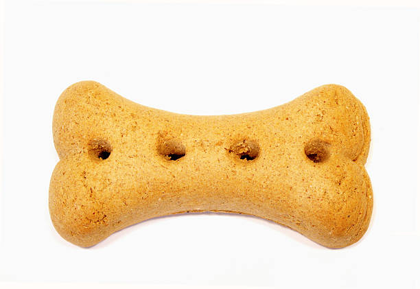 istock Closeup view of a dog biscuit isolated on white background 139856207
