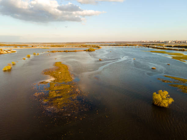 istock Aerial view of the river flood 1398562906