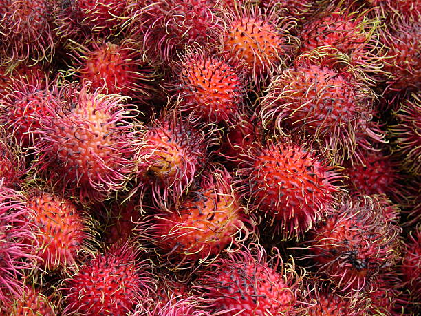 exotic fruits stock photo