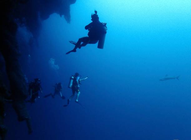 istock Scuba divers with shark Great Blue Hole 1398563817
