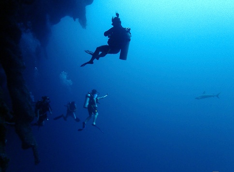 Group of divers underwater with scuba equipment exploring Mediterranean Sea life