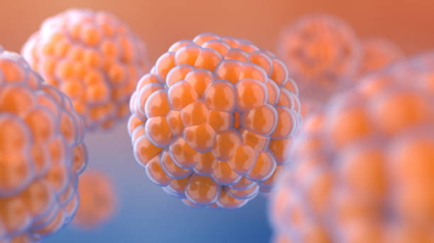 cellula tumorale umana - virus dna molecule molecular structure foto e immagini stock