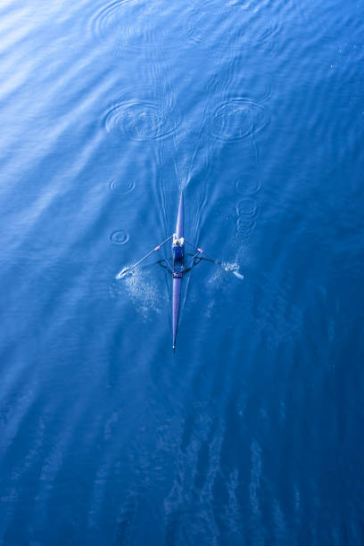 Sculling stock photo