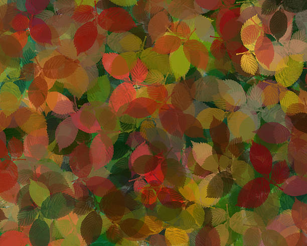 istock Loadsa Leaves-summer to autumn 139857029