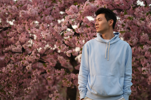 cool handsome Asian young man hands in pockets, side face looking away. Blur pink sakura flowers background
