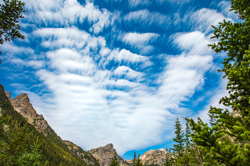 Cloud formations with blue sky and pine trees in wilderness mountain National Park in Wyoming.