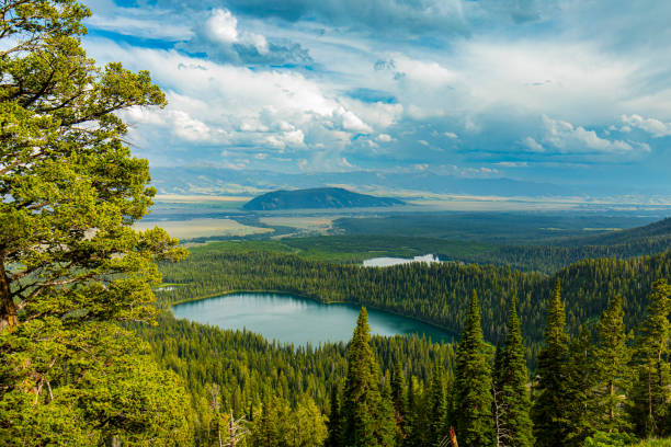 istock Rich green nature landscape with blue lake and pine tree forests while hiling in the mountains 1398572184