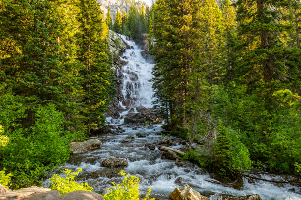 istock Tranquil nature scene with waterfall running down valley surrounded by bright green pine tree forest 1398572201