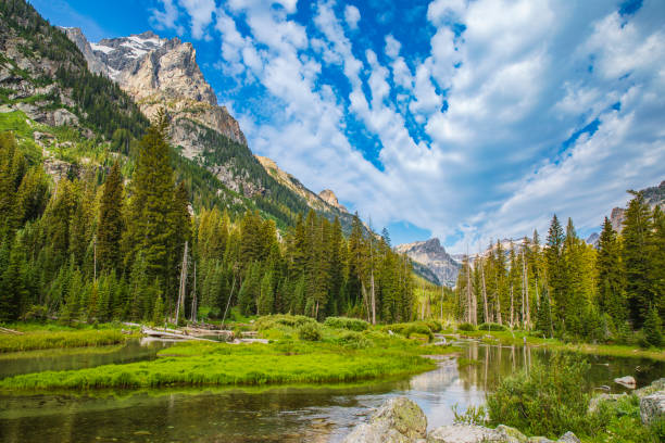 istock Tranquil nature scene with still reflective lake, pine forests and mountains under a blue sky. 1398572205
