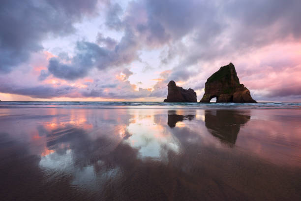 Colourful sunset, Wharariki Beach, New Zealand A dramatic and colourful sunset is reflected in the sand at Wharariki Beach on the South Island of New Zealand. The Archway Islands are silhouetted against the sky. tasman sea stock pictures, royalty-free photos & images