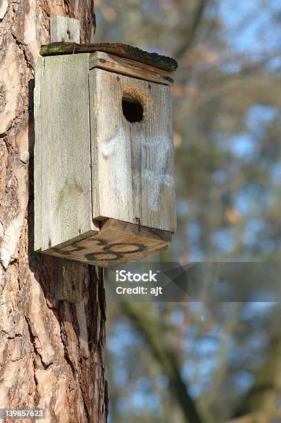 Aves House Foto de stock y más banco de imágenes de Agujero - Agujero, Casa, Casita de pájaros