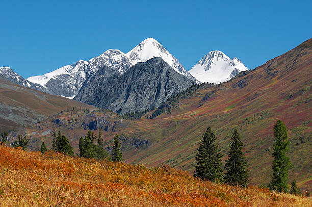 istock Beautiful mountains landscape. 139857707