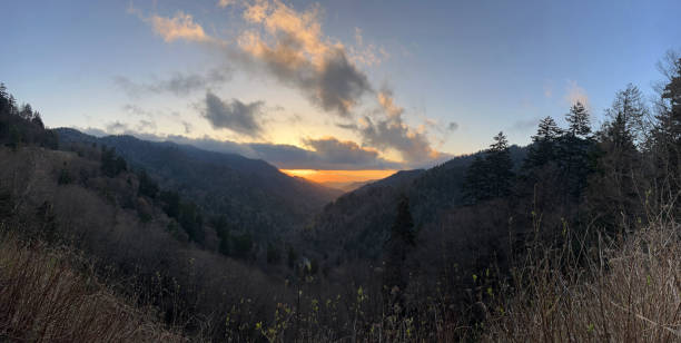 panorama z mortonu - great smoky mountains great smoky mountains national park forest appalachian mountains zdjęcia i obrazy z banku zdjęć