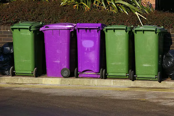 A row of purple and green plastic waste-bins in Liverpool.