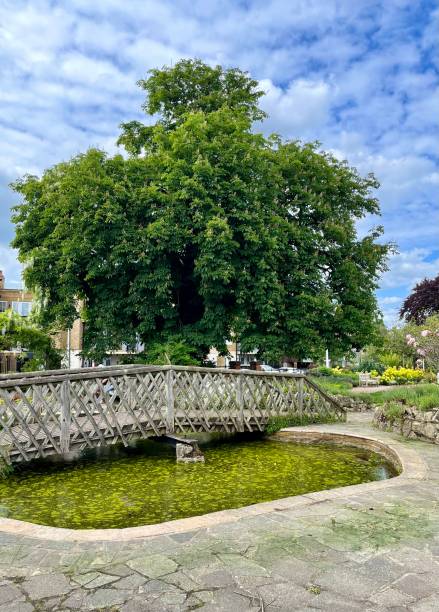 istock Bridge in Sevenoaks, Kent 1398579614