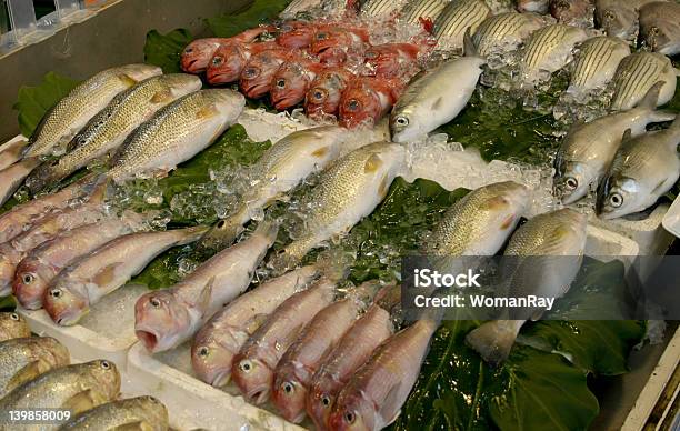 Num Mercado De Peixe - Fotografias de stock e mais imagens de Alimentação Saudável - Alimentação Saudável, Almoço, Animal