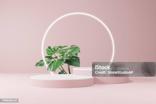 Summer Cosmetic Products Stand With Green Leaf Geometric Platforms Stock Photo - Download Image Now