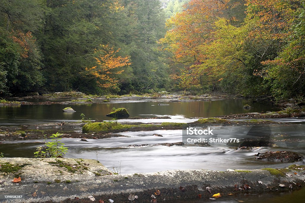 A gentle view A stream in the Smoky Mountains Bay of Water Stock Photo