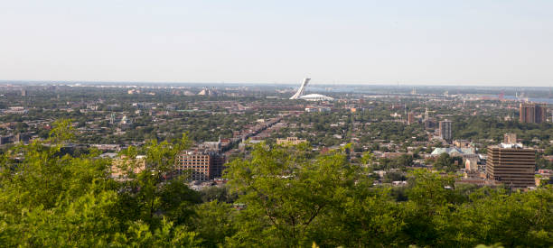 istock Skyline of Montreal, Quebec from Mount Royal 1398583088