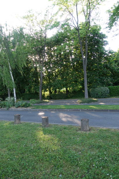 istock Two lane road and a tree-lined cycle path alongside a public park  Road with parking spaces Île-de-France 1398583882