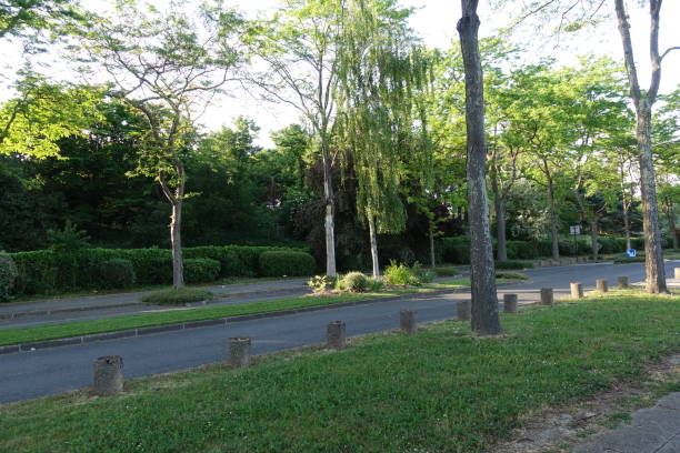 Two lane road and a tree-lined cycle path alongside a public park  Road with parking spaces Île-de-France