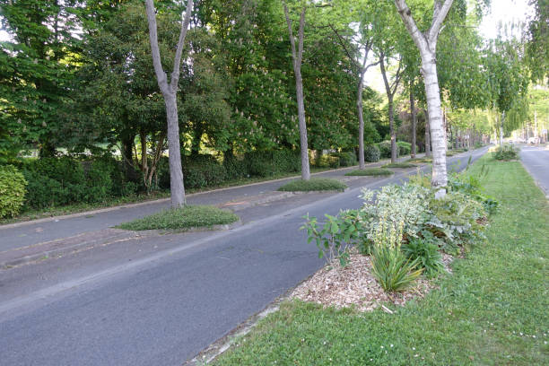 istock Two lane road and a tree-lined cycle path alongside a public park  Road with parking spaces Île-de-France 1398583889