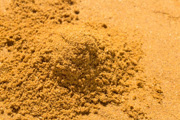 garam masala mix spices,close up