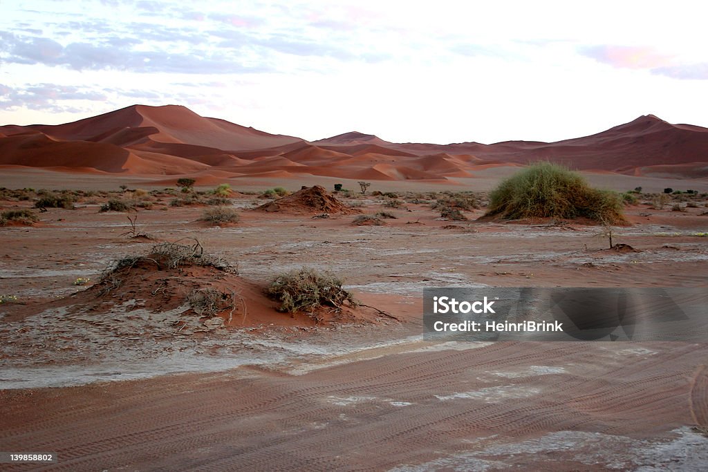 Namib - Foto de stock de Aire libre libre de derechos