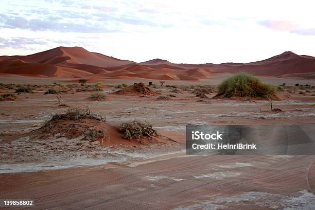 Namib - Fotografie stock e altre immagini di Ambientazione esterna - Ambientazione esterna, Cibo, Composizione orizzontale