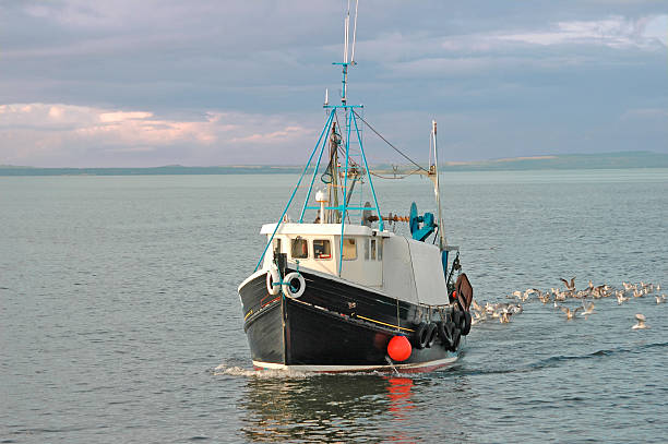 Fishing boat at sunset sailing off of the Provincial capital city of Victoria  on Vancouver Island, British Columbia