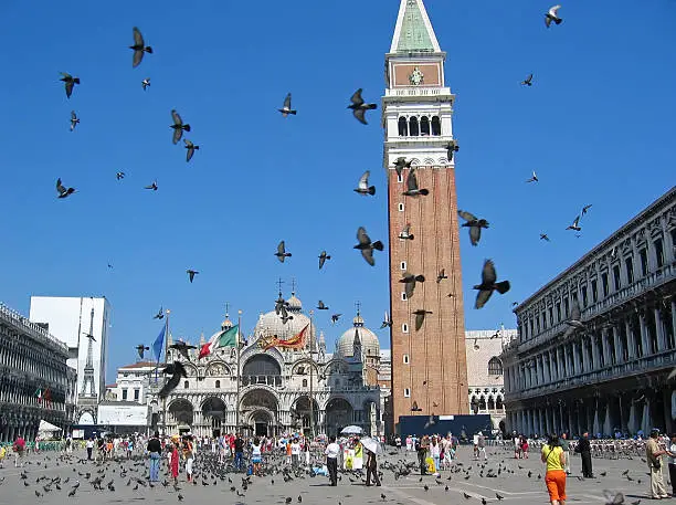 Photo of A beautiful day at Piazza San Marco