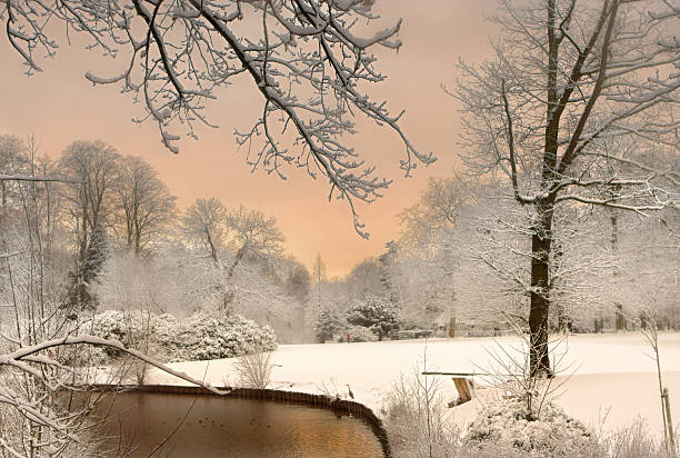 Close-up of a wooden fence surrounding a pond with its frozen waters and bare trees in the blurred background