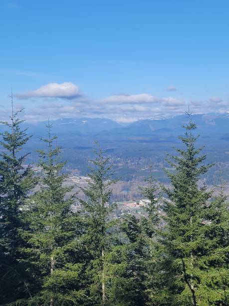 istock Winter hike no snow 1398591783