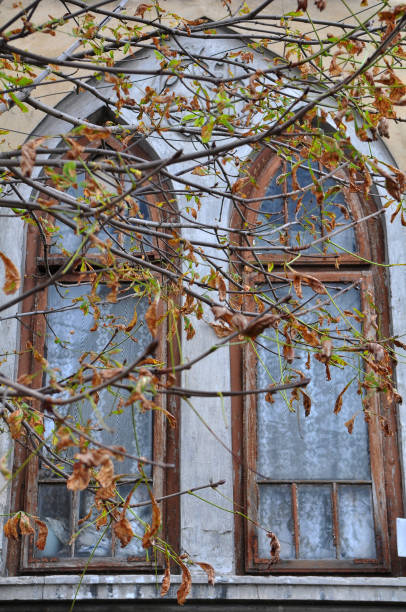 istock Autumn with colorful leaves. 1398594849