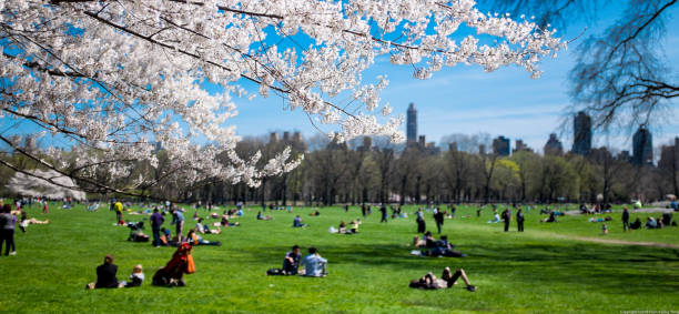 istock Central park, people enjoying a spring afternoon in the park. 1398594872