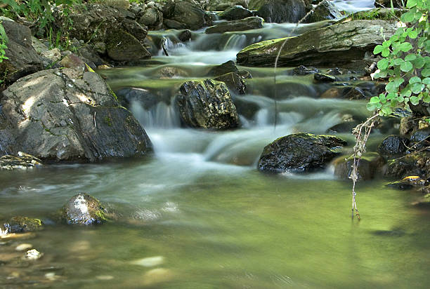 istock Beautiful brook in the forest 139859742