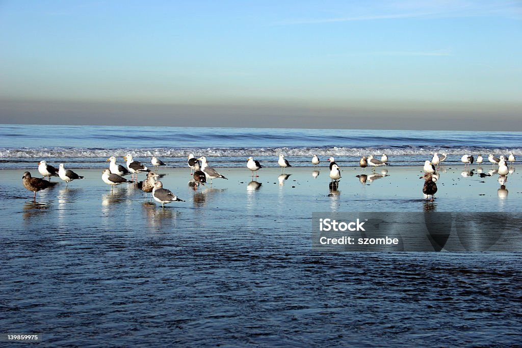 alba - Foto stock royalty-free di Acqua