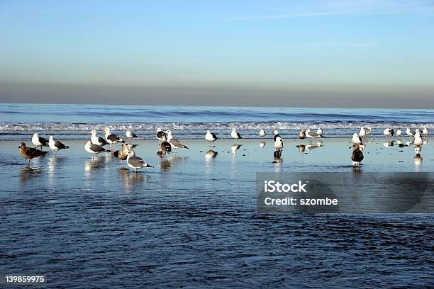 Alba - Fotografie stock e altre immagini di Acqua - Acqua, Ambientazione esterna, Ambientazione tranquilla