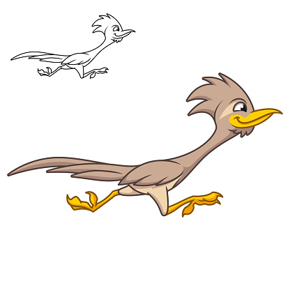 Cute Happy Roadrunner Bird Running Fast with Black and White Line Art Drawing, Bird, Vector Character Illustration, Outline Cartoon Mascot Logo in Isolated White Background.