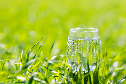 drinking water in glass on green background outdoors