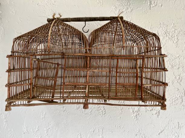 istock Antique bird cages 1398600849