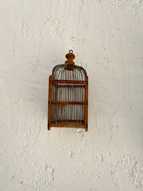 istock Antique bird cages 1398600897