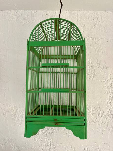 istock Antique bird cages 1398600916