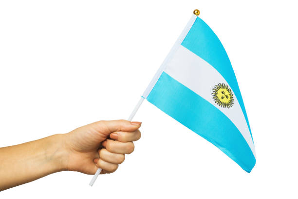 istock Woman's hand holding Argentina flag isolated on white background, template for designers 1398602084