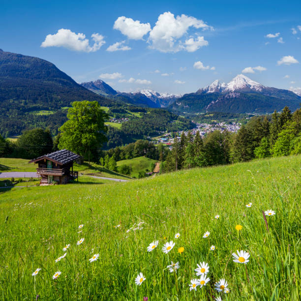 istock Alpine scenery with mountain chalet in summer 1398605075