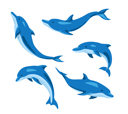 Set of lovely blue dolphins from different angles on white background. Vector beautiful characters dolphins in cartoon style.