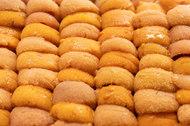 Sea urchin sashimi closeup