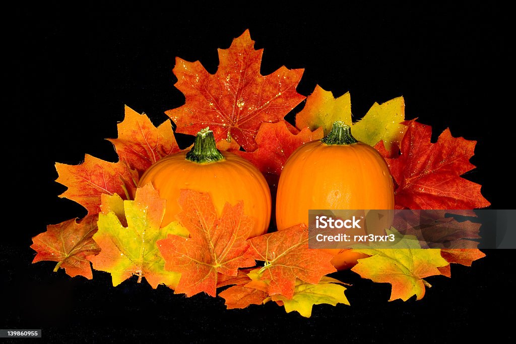 Zucca Centrotavola - Foto stock royalty-free di Arancione